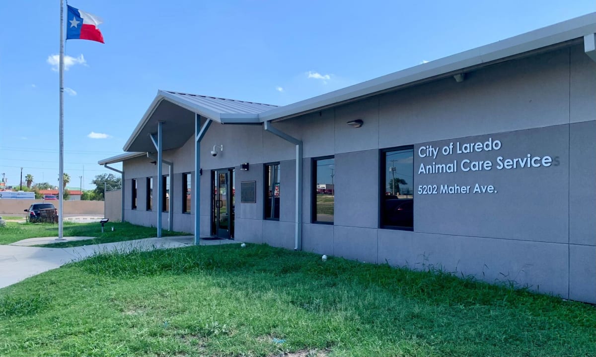 Laredo Shelter Offers Triple Credit for Volunteer Help