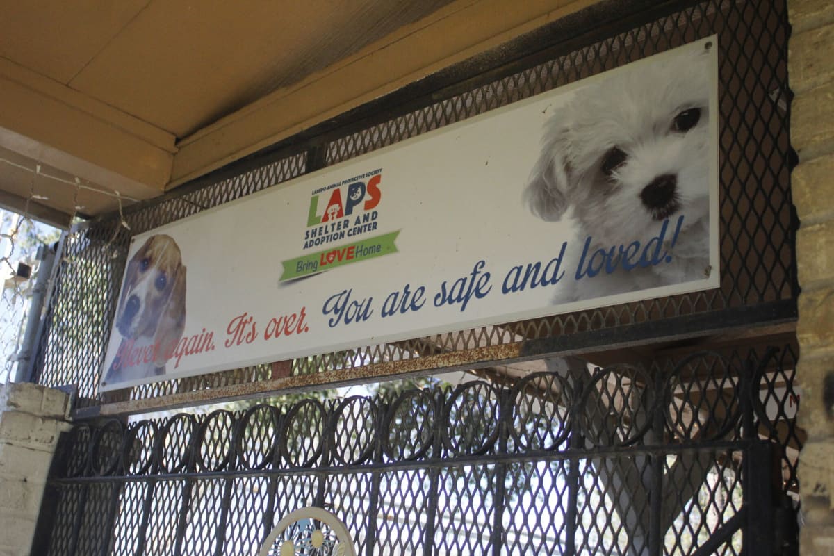 Texas Shelter Seeks Runners to Help Adoptable Dogs