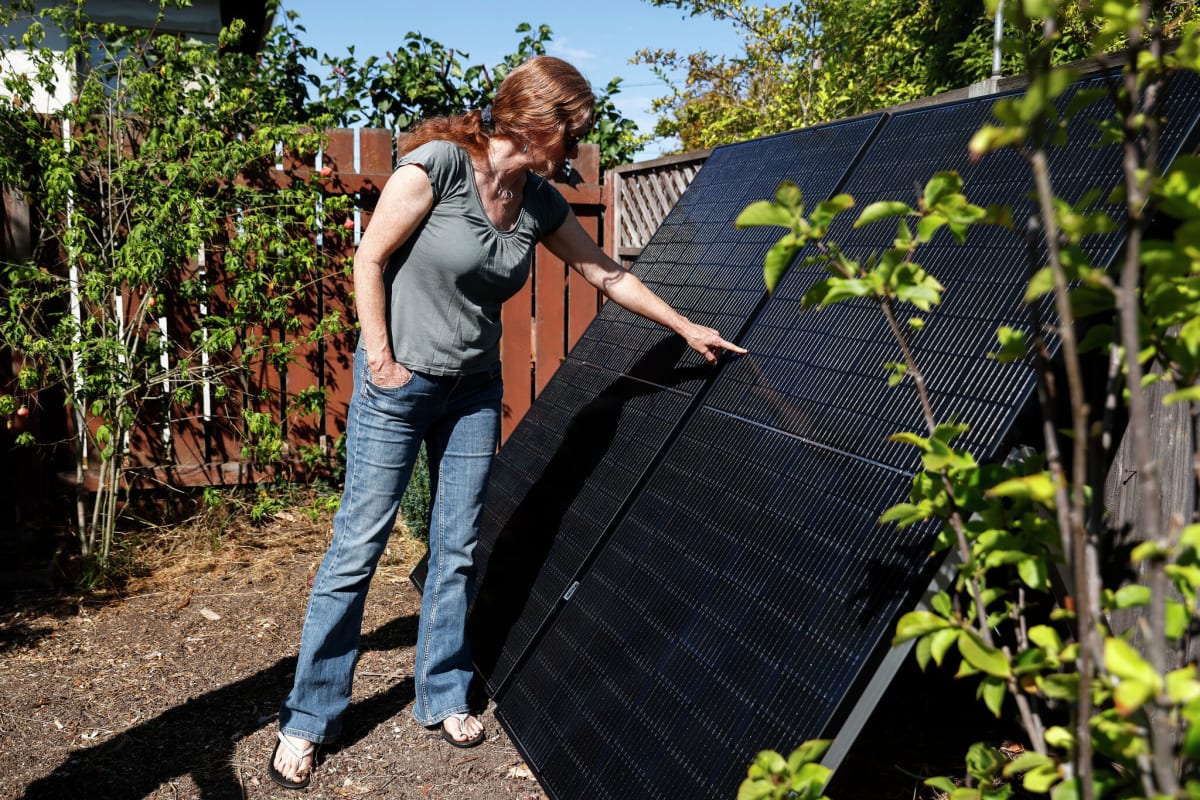 Neighbors Could Soon Share Solar Power Under New Model