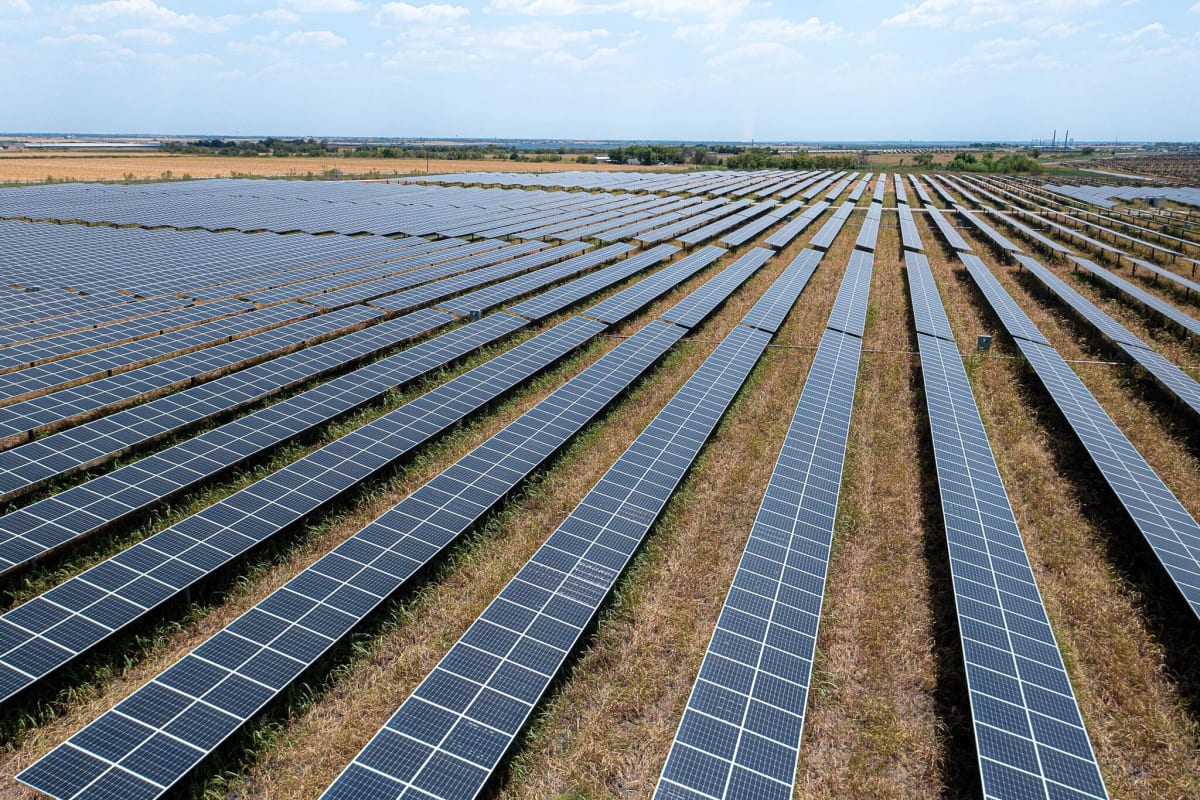 Solar panels at East Blackland Solar Farm gleaming under bright Texas summer sun