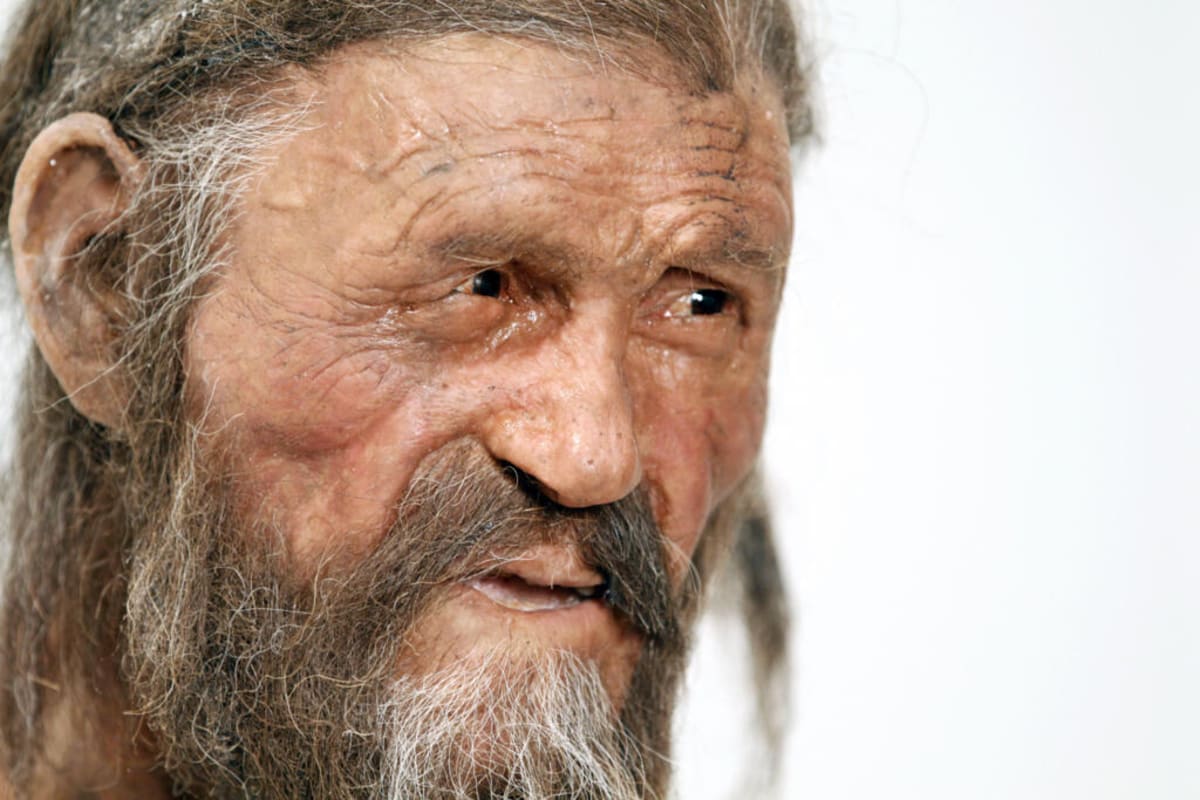 Scientists Bake Bread Using 5,300-Year-Old Iceman Yeast - Image 3