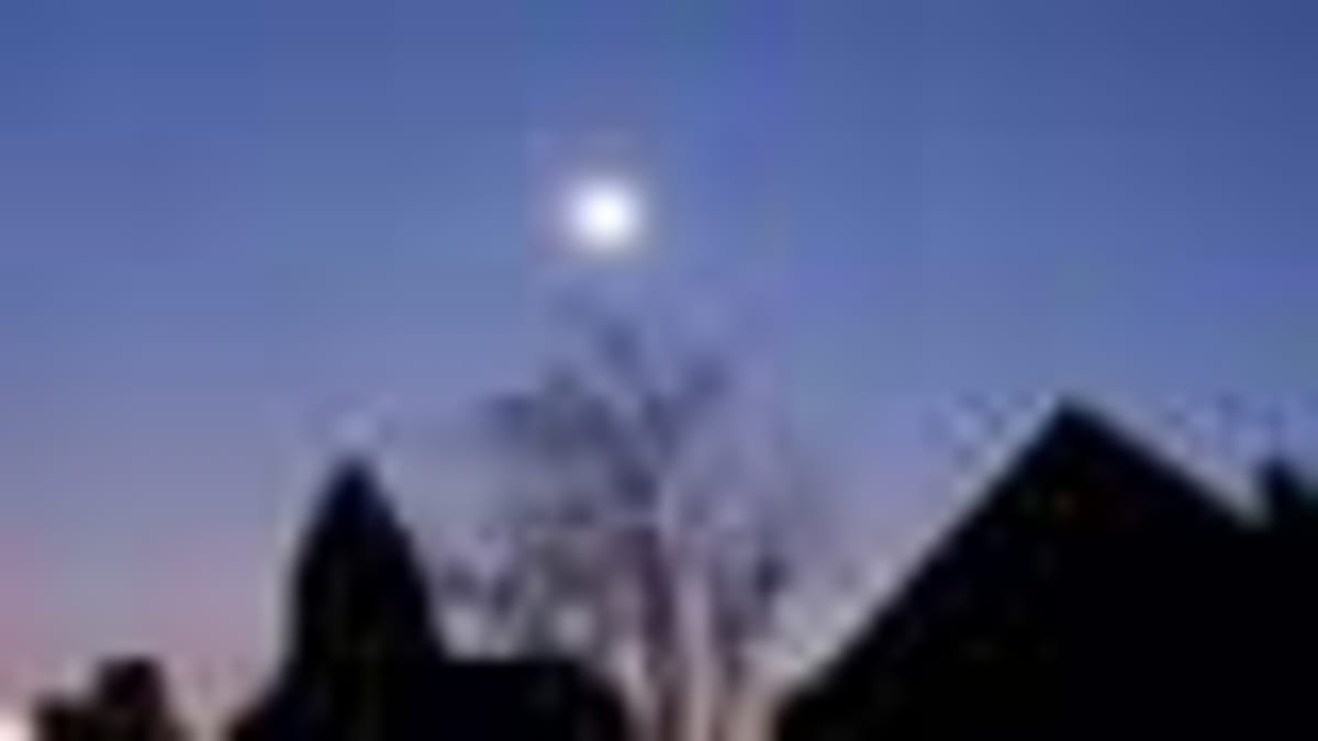 Police Officer Rescues Dog From Australian Flood - Image 4