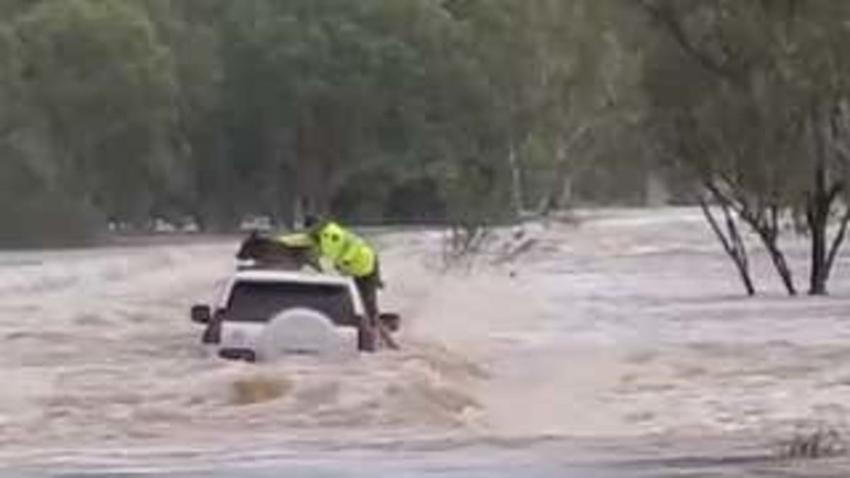 Police Officer Rescues Dog From Australian Flood - Image 2