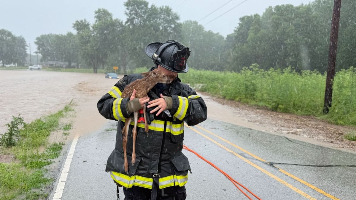 Firefighter in rescue gear holds baby deer after saving it from rushing floodwaters