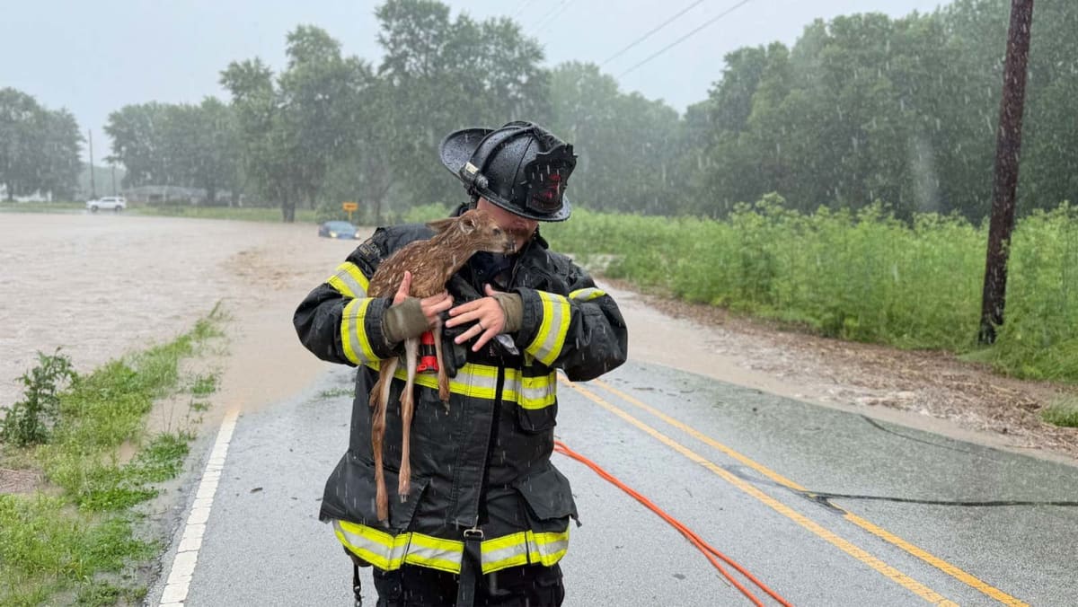 Indiana Firefighter Saves Fawn From Flash Flood Waters - Image 3