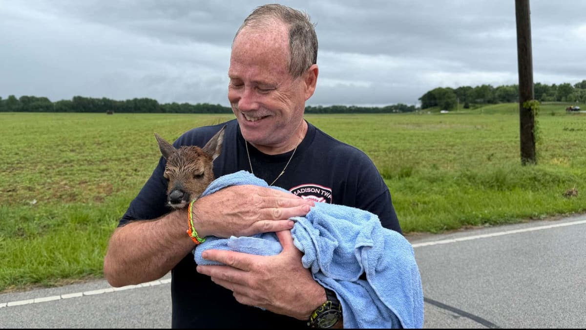 Indiana Firefighter Saves Fawn From Flash Flood Waters - Image 4