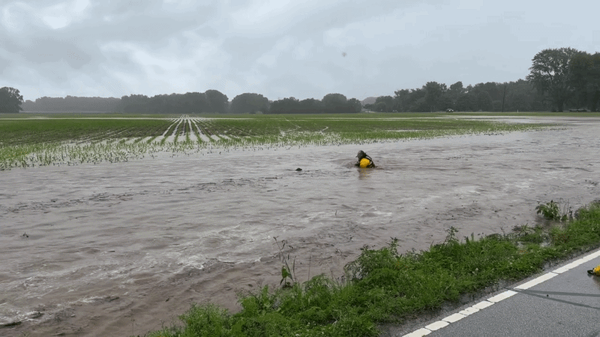 Indiana Firefighter Saves Fawn From Fast-Moving Floodwaters