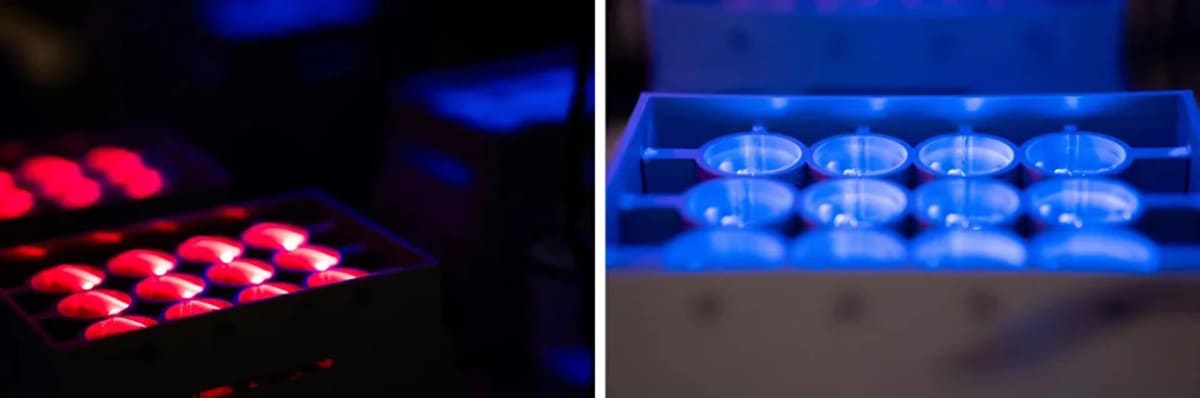 NUS Scientists Use Light Beams to Control Yeast Cells - Image 3