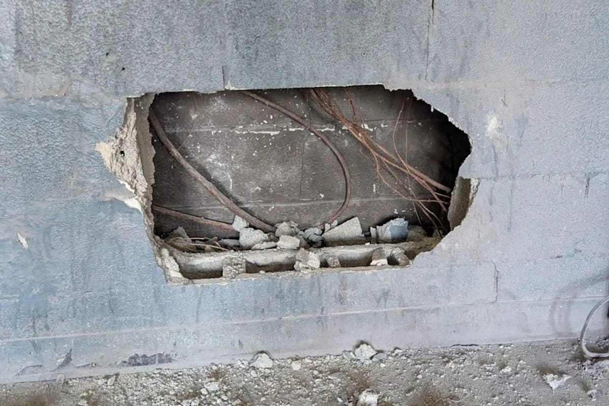 Nashville Firefighters Free Dog Trapped 2 Days Between Walls - Image 4