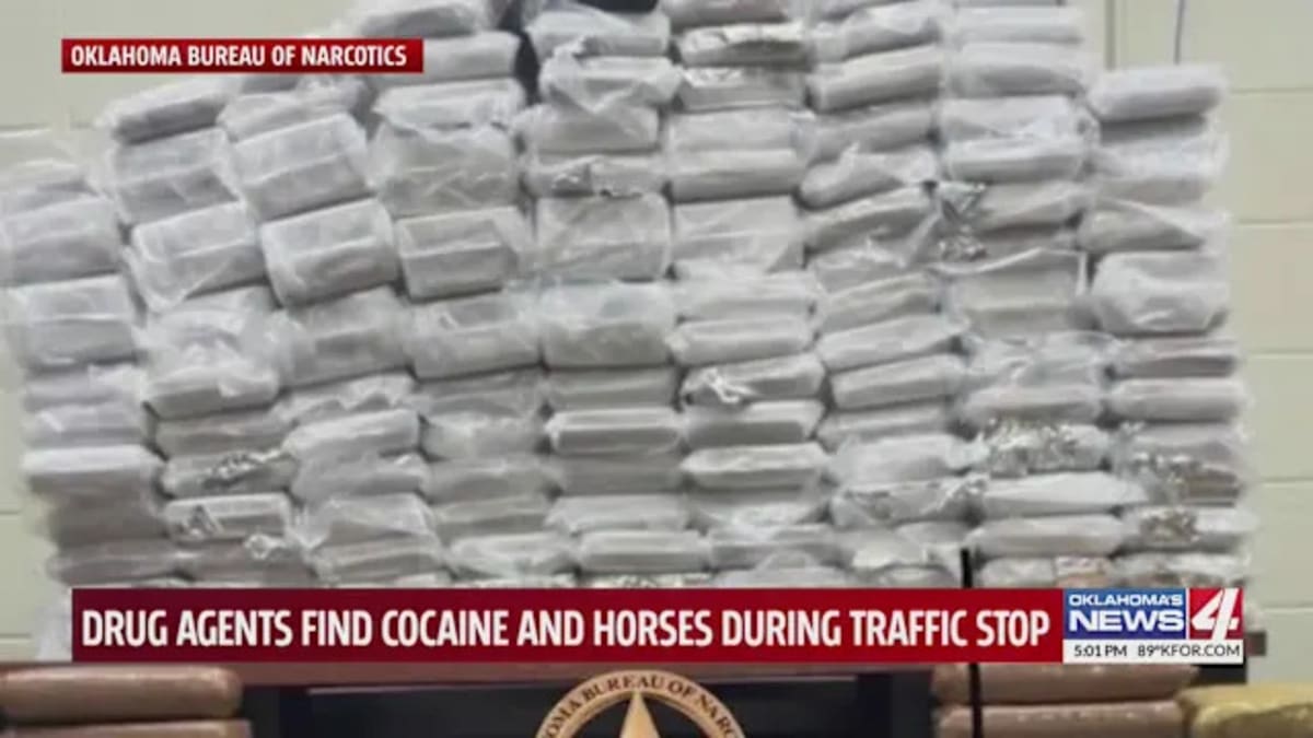 Oklahoma Rescue Saves 6 Horses After $4.3M Drug Bust - Image 2
