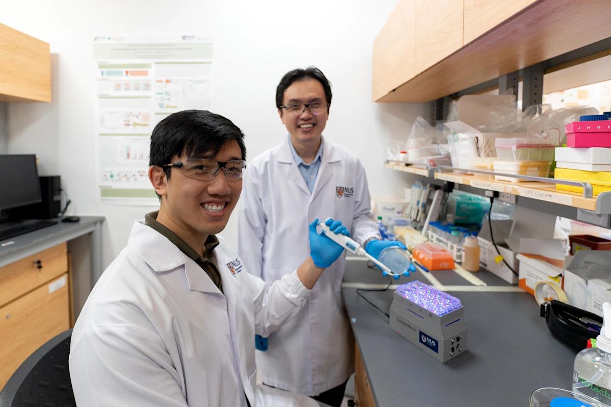 PhD student Linus Tan and Professor Poh Chueh Loo in laboratory at National University of Singapore