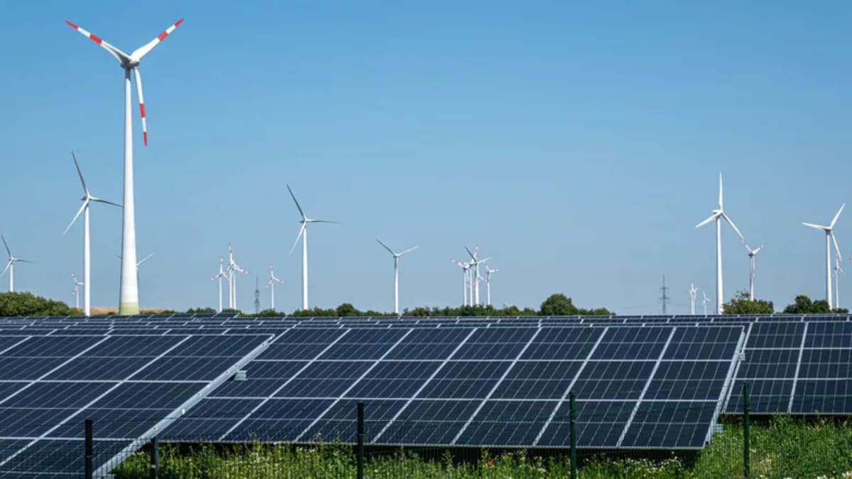 Black Paint Cuts Bird Deaths at Wind Farms by 70% - Image 3