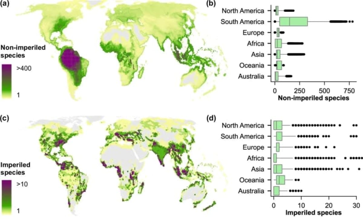 AI Model Protects 10,000 Fish Species Before Extinction - Image 5