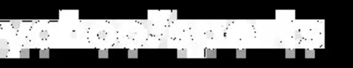 Runner Breaks Half Marathon Record at 57:20 in Lisbon - Image 3