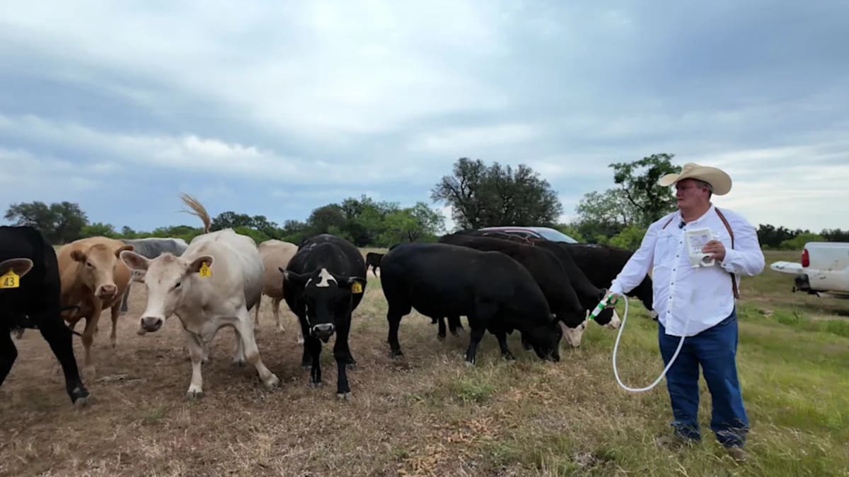 Texas Cowboy Beats Skin Cancer Thanks to Generous Doctor - Image 4