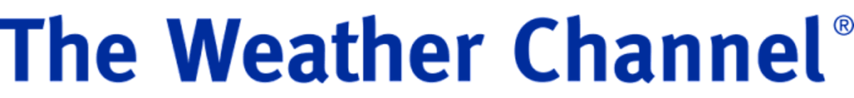 Injured Pennsylvania Hawk Gets 'Feisty' at Rescue Center - Image 2