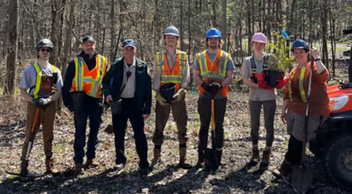 12,000 Native Trees Restore 9 Ontario Parks After Storms - Image 4