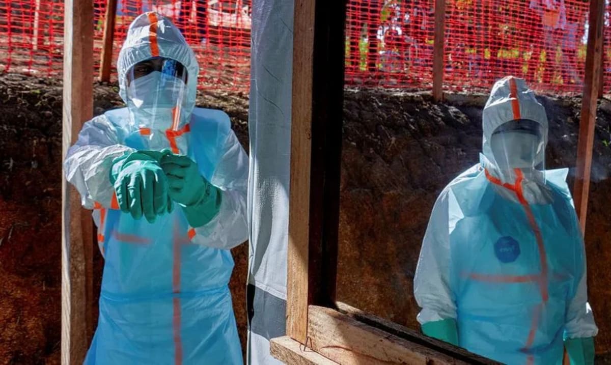 Five Ebola Patients Recover as Treatment Response Grows - Image 2