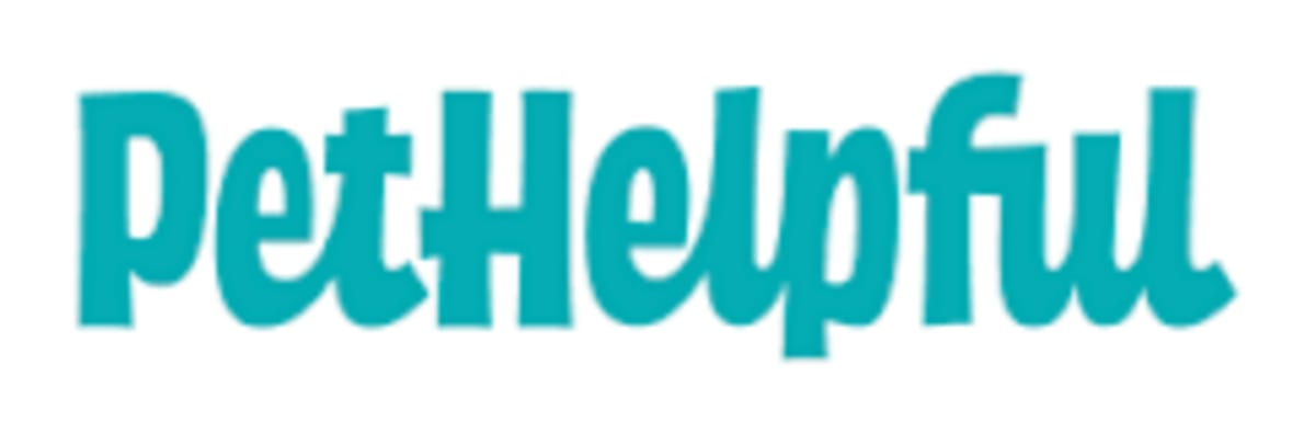 Campers Rescue Two Newborn Bear Cubs on Vancouver Island - Image 2