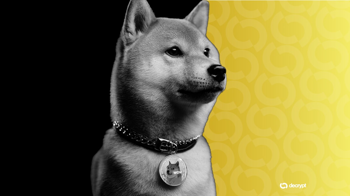 Dogecoin cryptocurrency logo with dogs receiving care at animal shelter facility