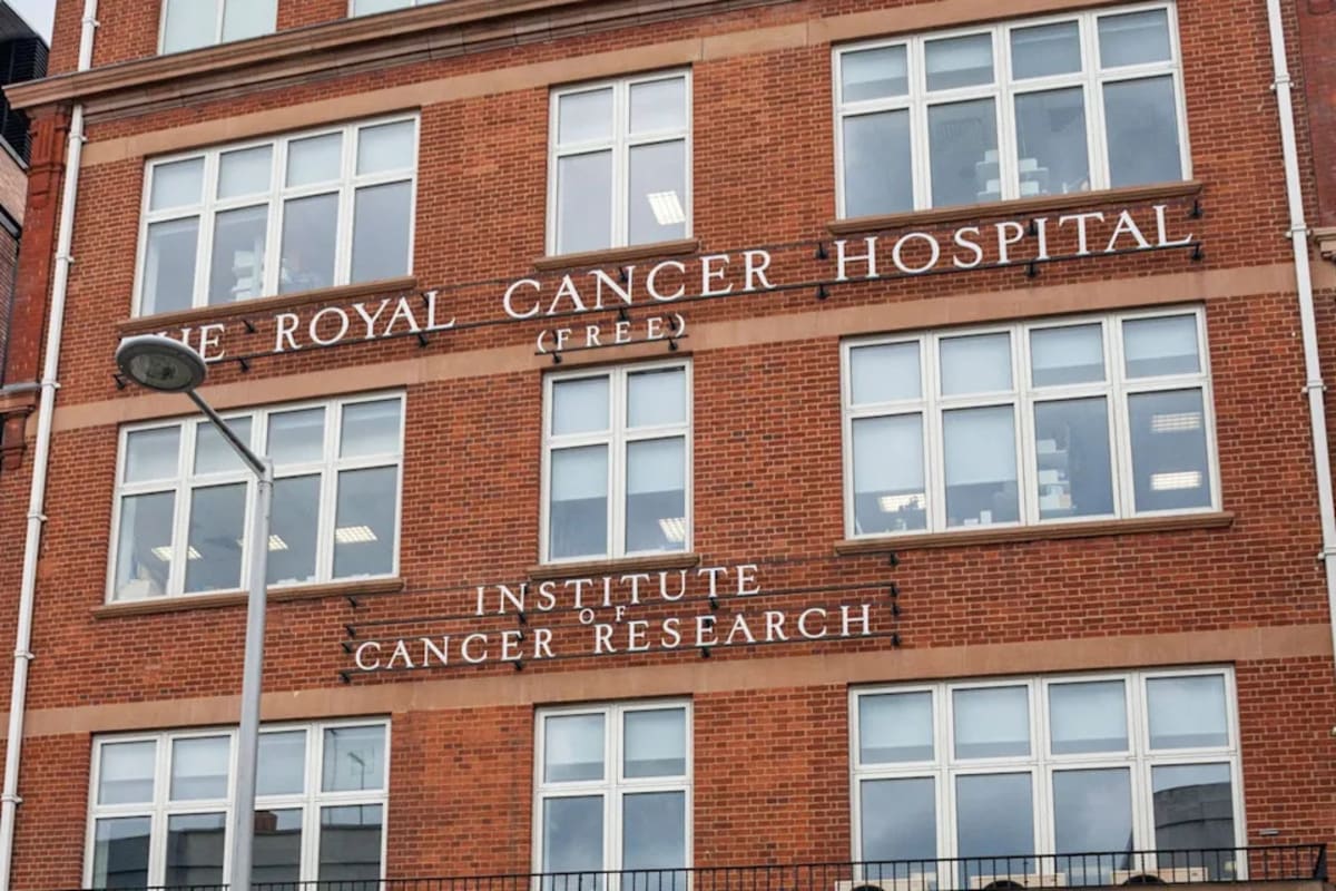 New Cancer Injection Shrinks Tumors in 42% of Patients - Image 3