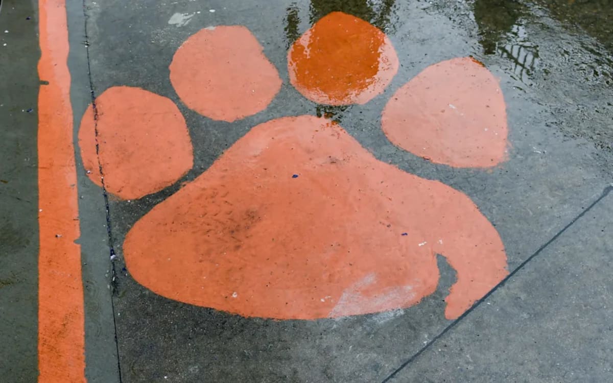 Clemson Athletes Hit 998/1000 Academic Record - Image 4
