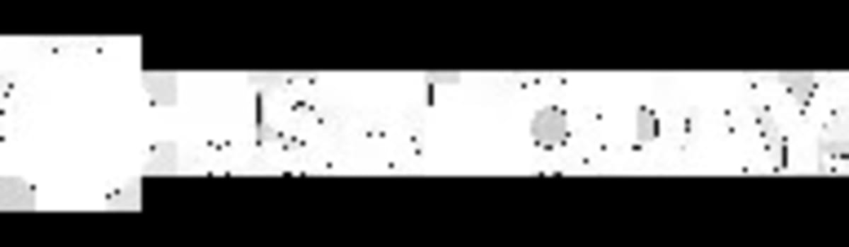 Duke Coach Kara Lawson Leads Team USA During March Madness - Image 3