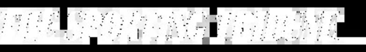 UCLA Women's Basketball Reaches First Ever Title Game - Image 3