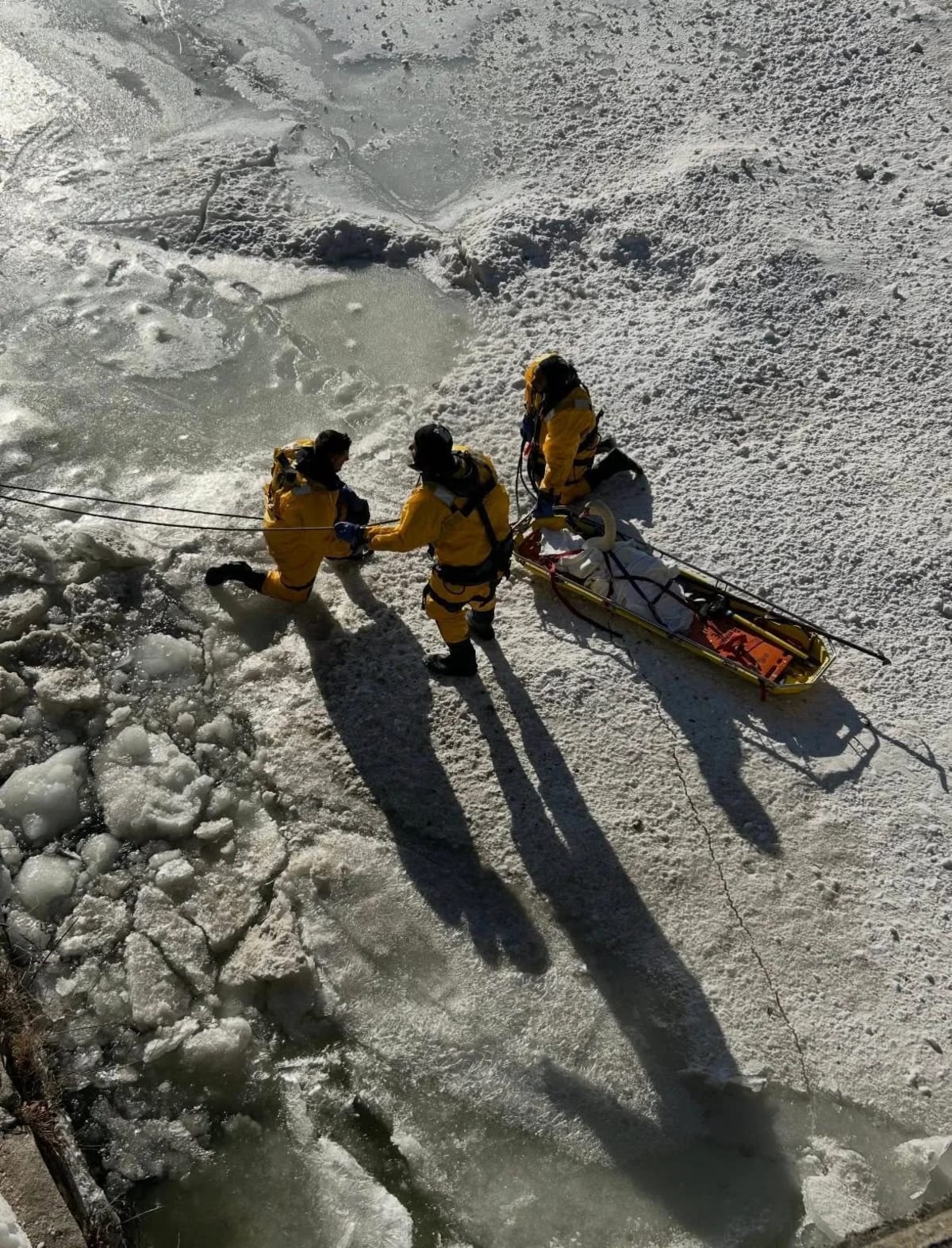 Firefighters Save Swan Frozen in Connecticut River