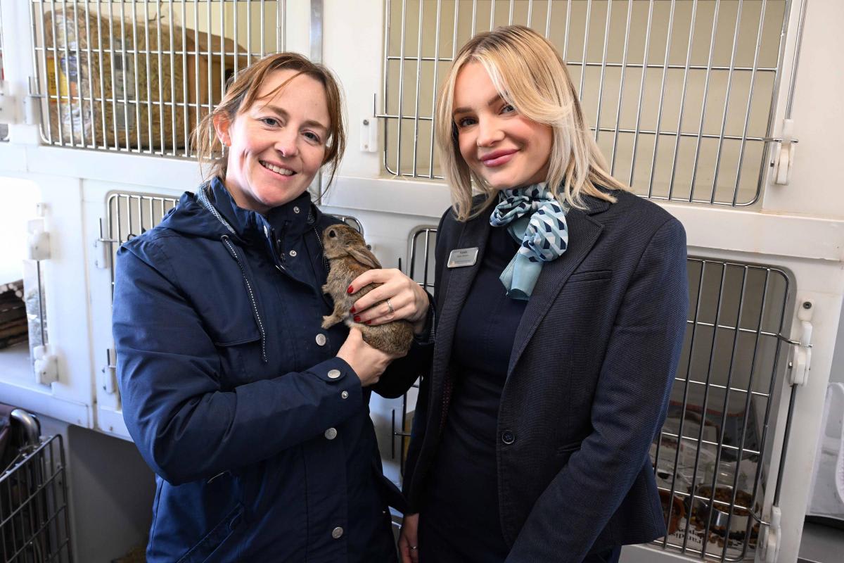 Wildlife sanctuary staff member standing beside newly sponsored animal enclosure for rescued rabbits and hares