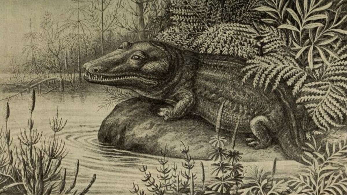 2,000 Volunteers Help Restore 240-Million-Year-Old Fossil - Image 4