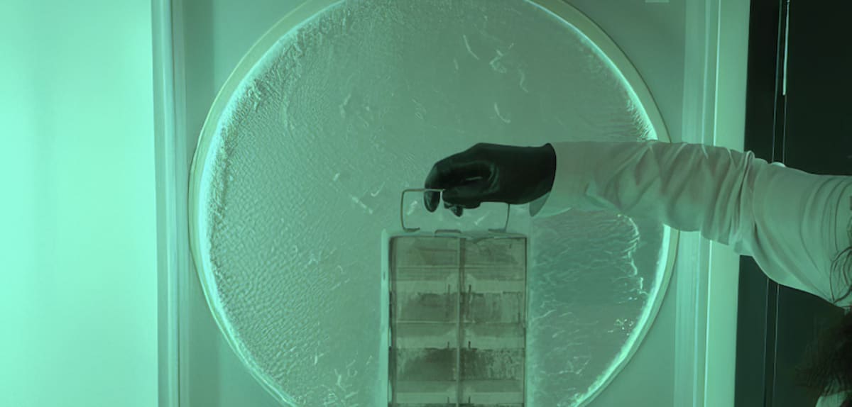 Scientists in a modern laboratory handling cryogenic storage containers for biological samples preservation