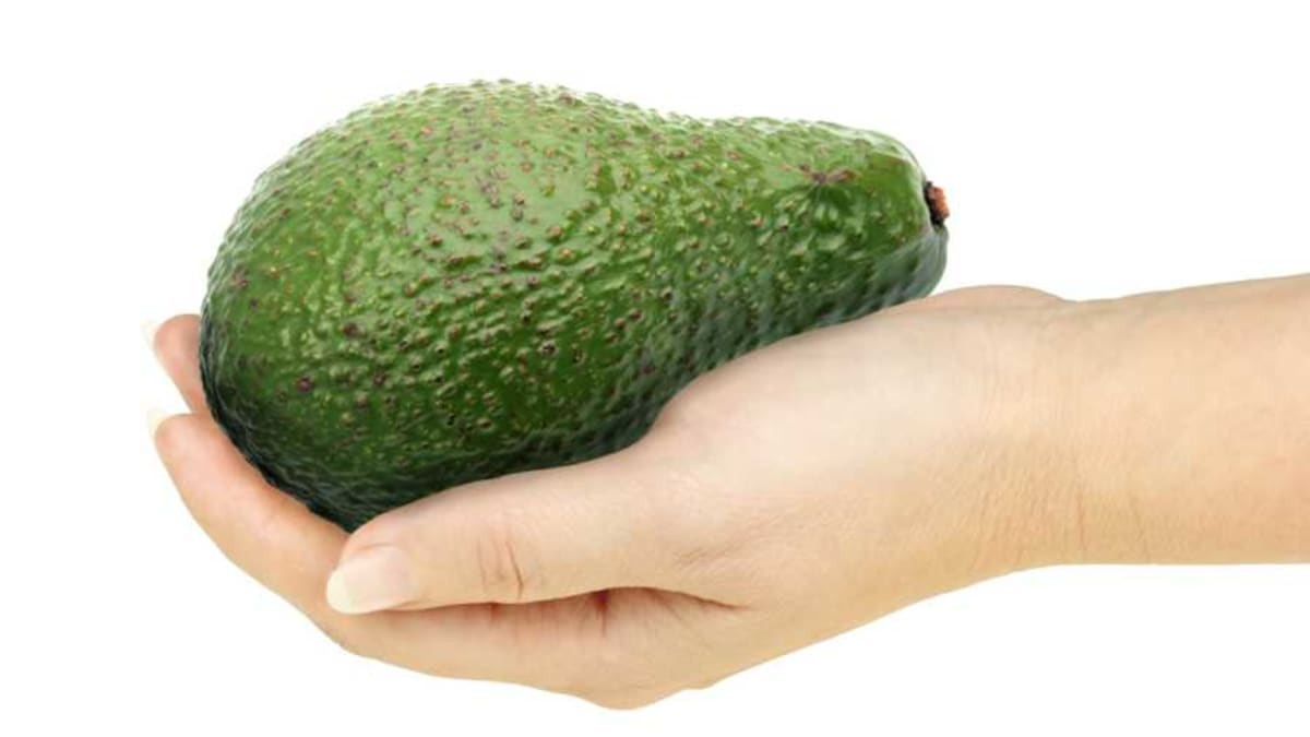 Scientists Crack Avocado Code, Speed Up Breeding by Years - Image 2