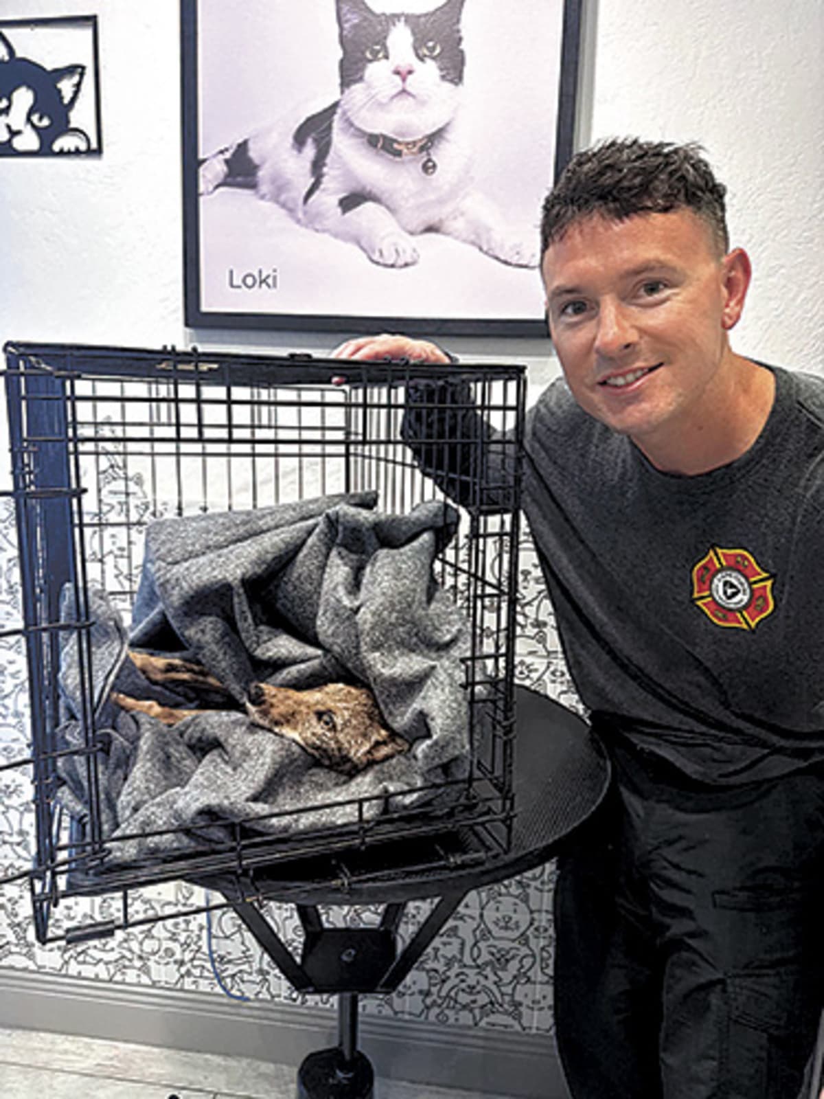 Cape Coral Neighbors Save Coyote Pup from Drowning - Image 2