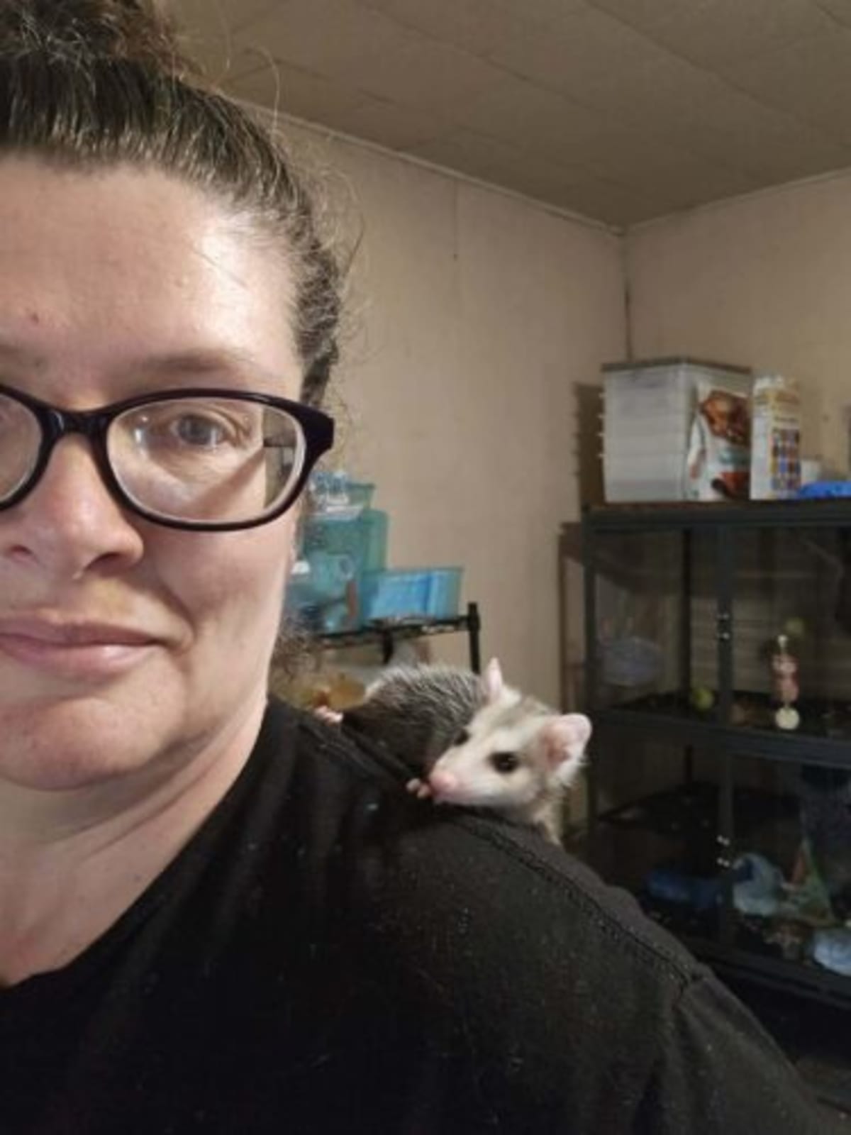 Woman Fills 27-Year Gap in Pennsylvania Wildlife Rescue - Image 2