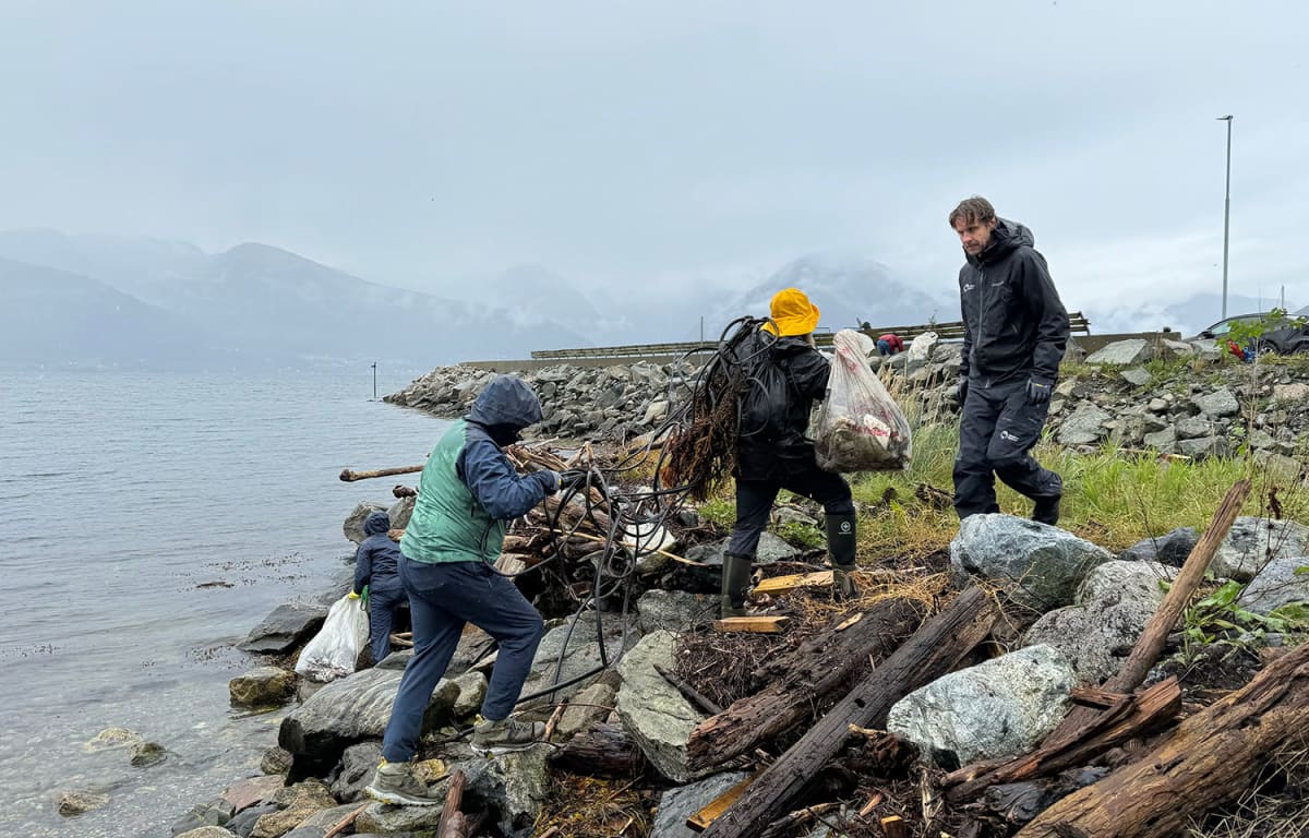 Volunteers collecting plastic waste and marine debris along Norwegian fjord shoreline during cleanup campaign