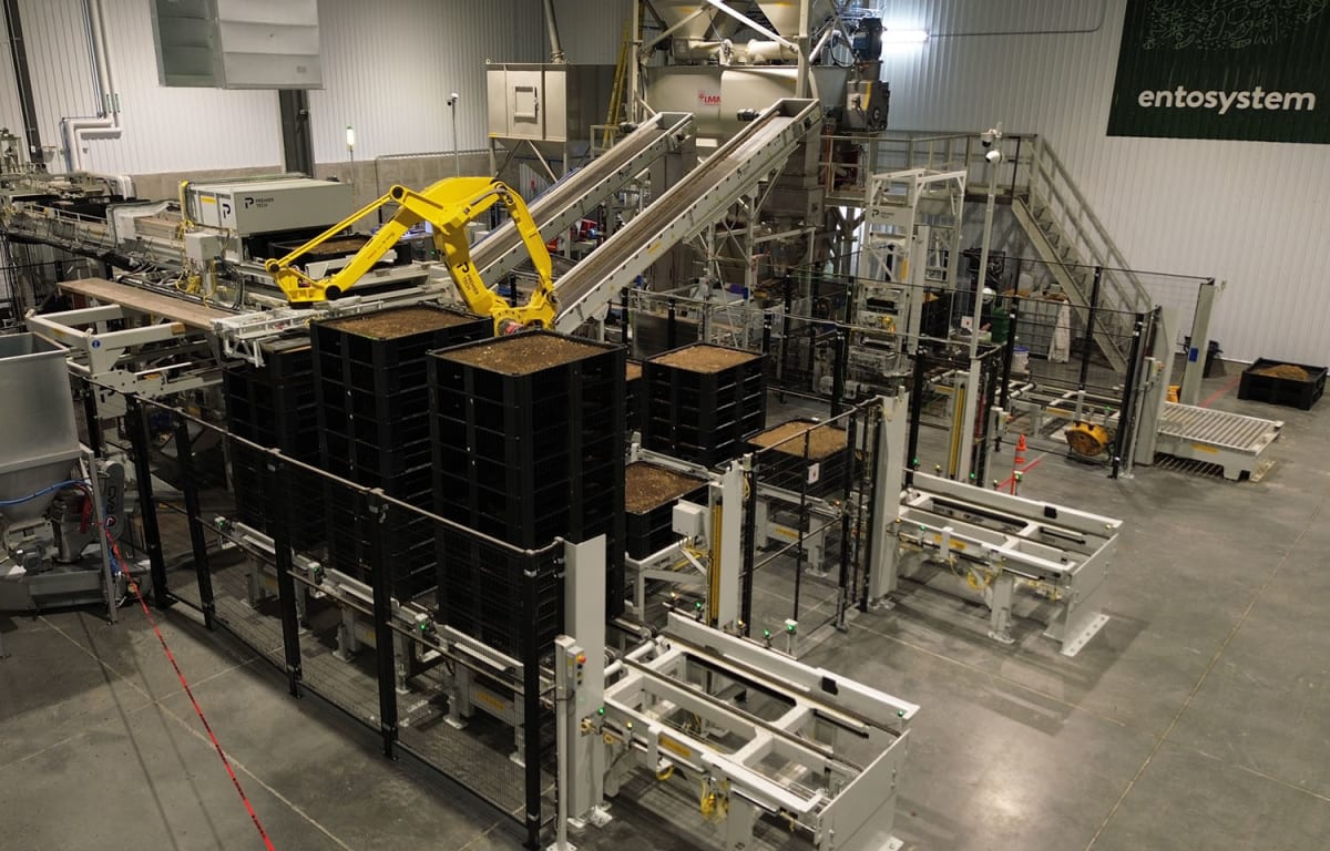 Canadian Firm Turns Food Waste Into Fish Feed, Cuts Carbon - Image 3