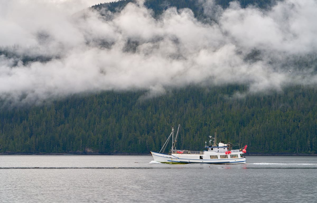 Fishing boats docked in calm waters near Vancouver Island's coastal indigenous territories