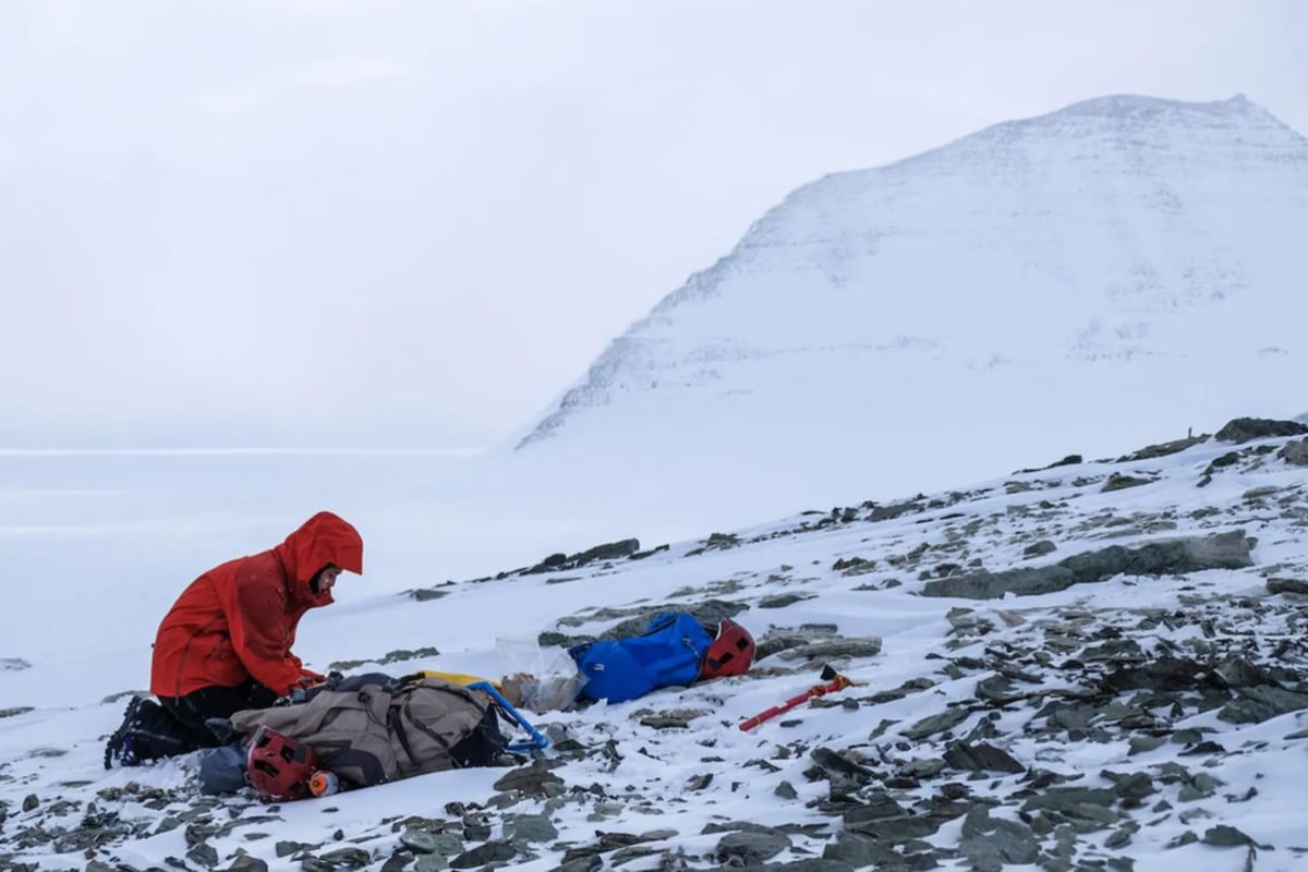 Antarctica Tests Green Hydrogen in Harshest Climate on Earth