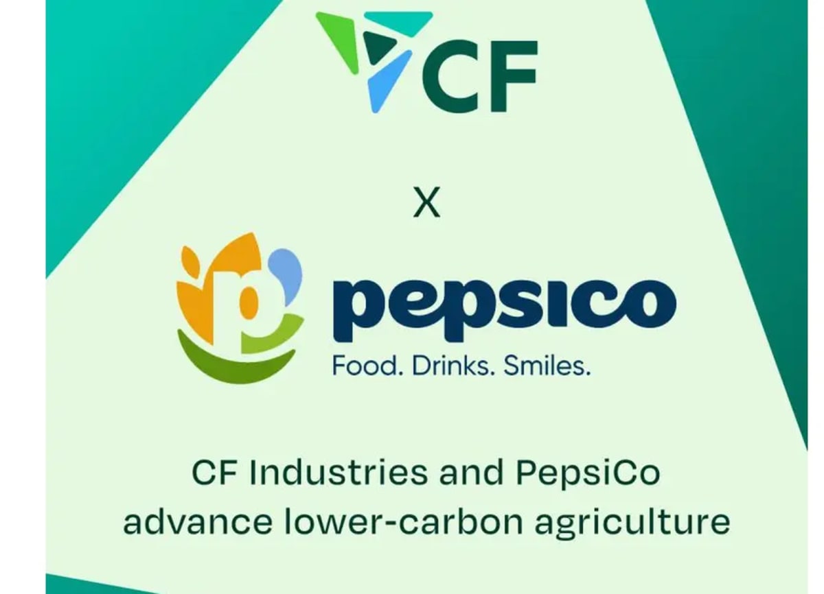 Green potato farm field with farming equipment under blue sky representing sustainable agriculture