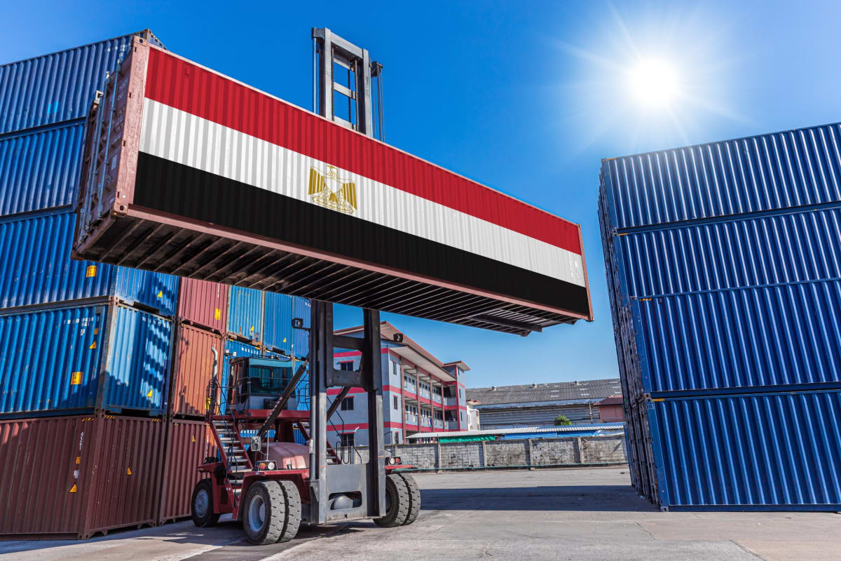 Egypt Bank Helps Small Businesses Trade Across Africa