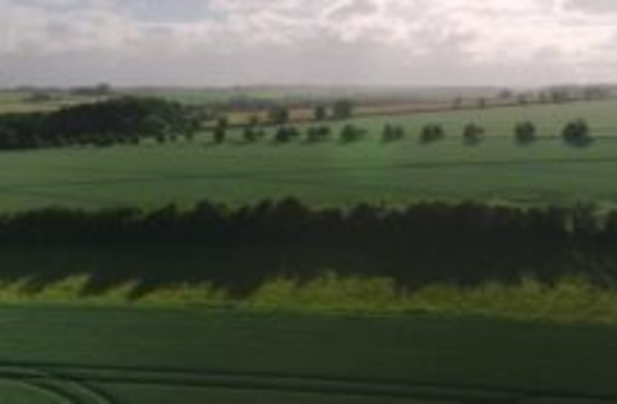English Farmers Boost Bird Species 346% in 10 Years - Image 3