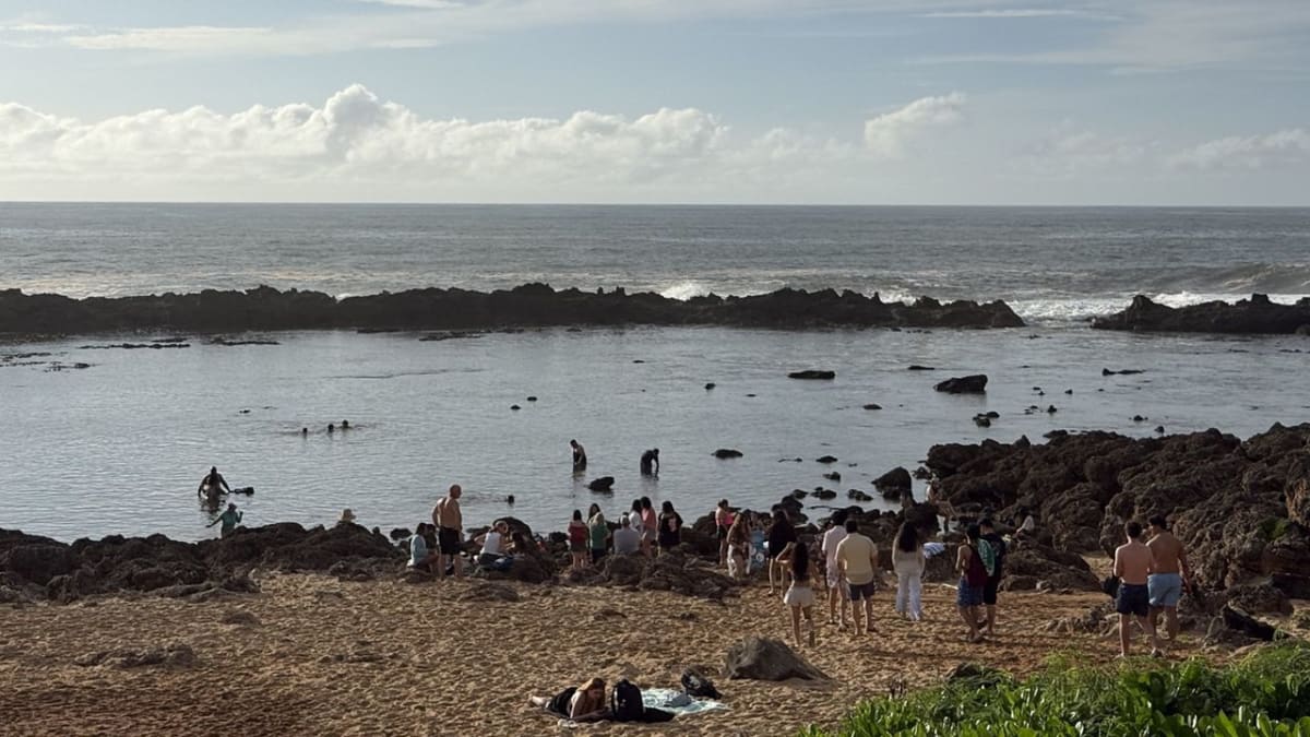 Hawaii Storm Recovery: 9 Ways to Help Communities Rebuild - Image 2