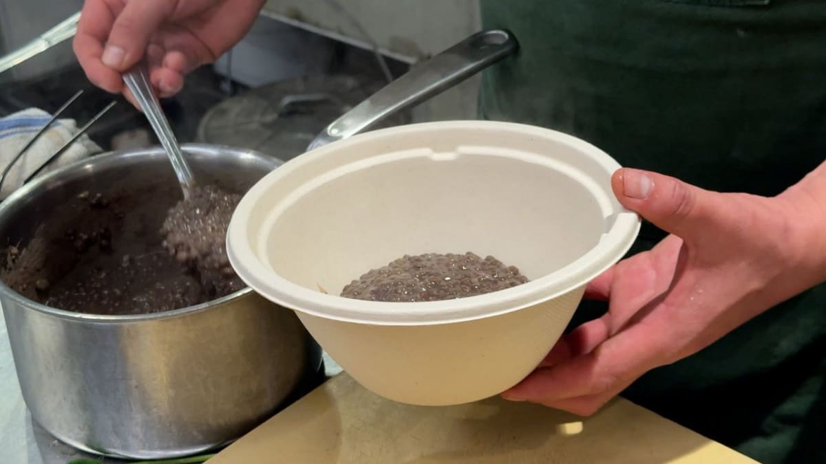 California Bans Single-Use Plastics by 2032