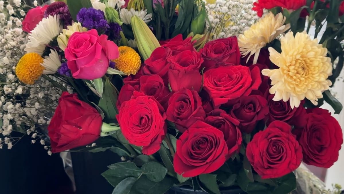 Durham Volunteers Drive Seniors to Free Doctor Appointments - Image 4