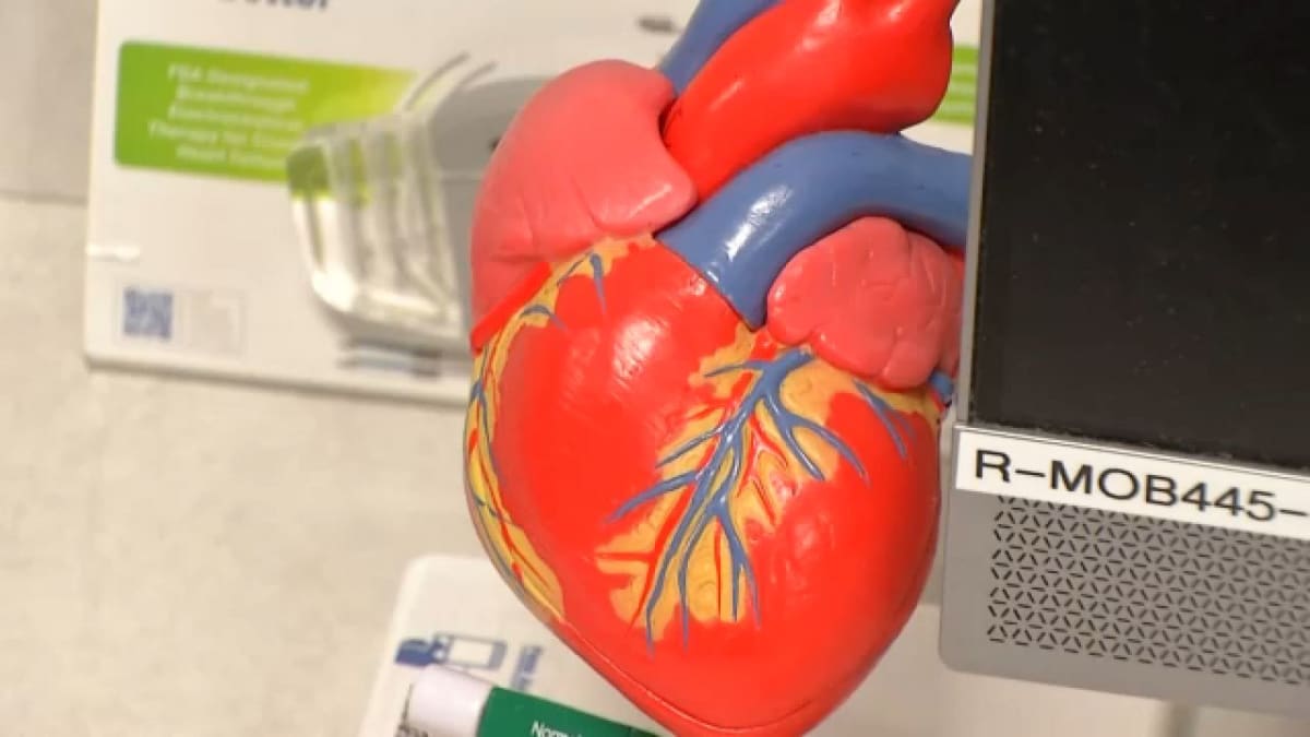 Perinton VFW Seeks 100 Volunteers for Cemetery Restoration - Image 4