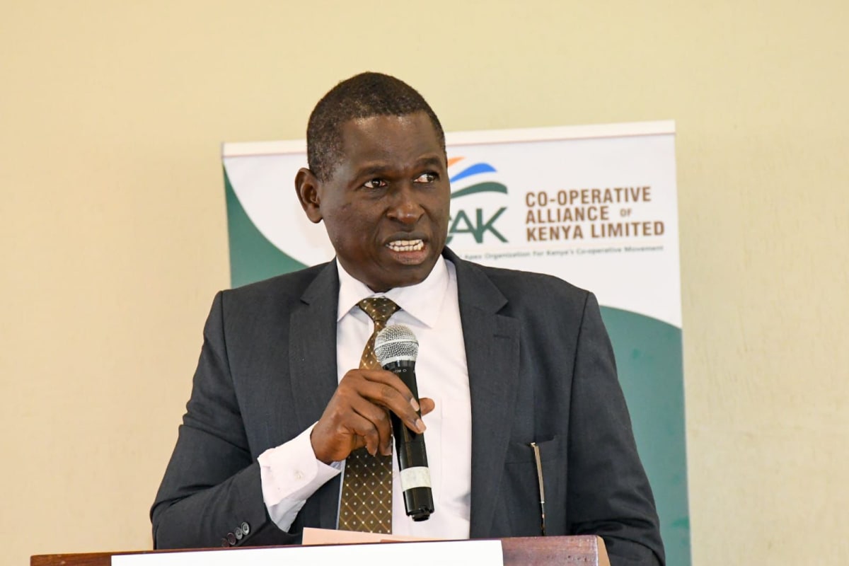 Kenya Hosts North African Startups in New Tech Alliance - Image 3