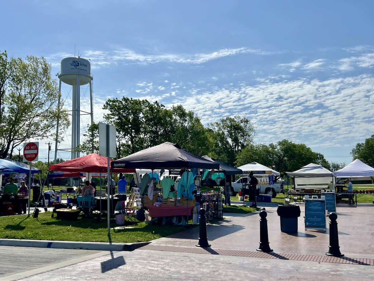Food Pantry Celebrates 20 Years Serving North Texas - Image 2