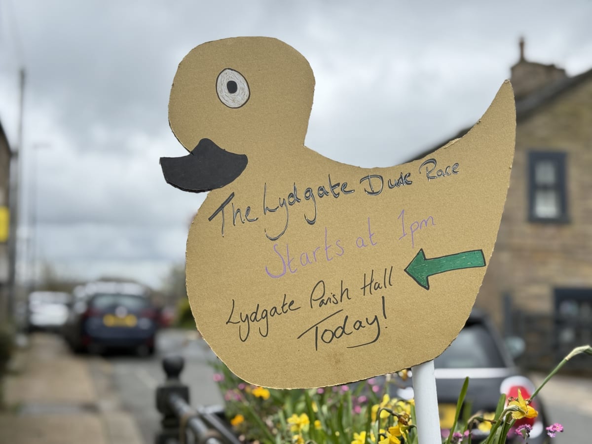Lydgate's First Dry Duck Race Raises Funds for Village Hall - Image 5