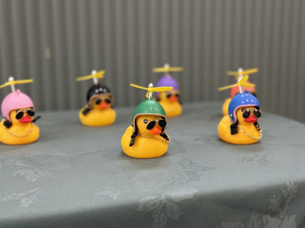 Lydgate's First Dry Duck Race Raises Funds for Village Hall - Image 4